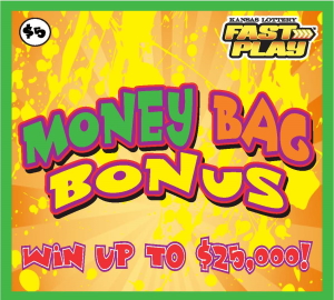 MONEY BAG BONUS