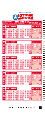 Lotto America Play Slip