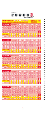 Powerball Play Slip